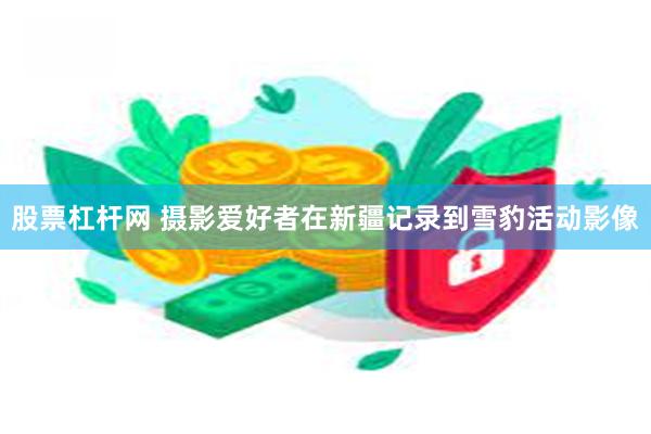 股票杠杆网 摄影爱好者在新疆记录到雪豹活动影像