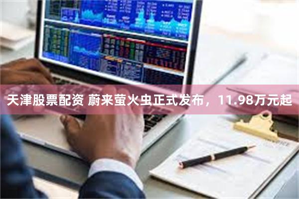 天津股票配资 蔚来萤火虫正式发布，11.98万元起