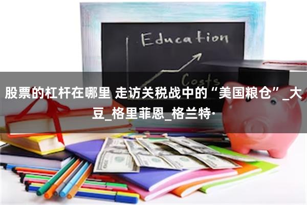 股票的杠杆在哪里 走访关税战中的“美国粮仓”_大豆_格里菲恩_格兰特·