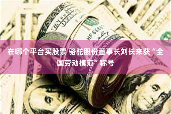 在哪个平台买股票 骆驼股份董事长刘长来获“全国劳动模范”称号