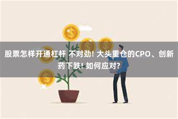 股票怎样开通杠杆 不对劲! 大头重仓的CPO、创新药下跌! 如何应对?