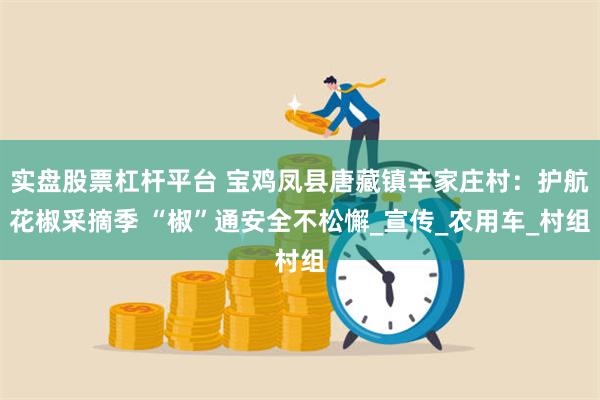 实盘股票杠杆平台 宝鸡凤县唐藏镇辛家庄村：护航花椒采摘季 “椒”通安全不松懈_宣传_农用车_村组