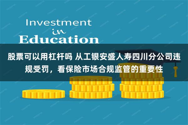 股票可以用杠杆吗 从工银安盛人寿四川分公司违规受罚，看保险市场合规监管的重要性