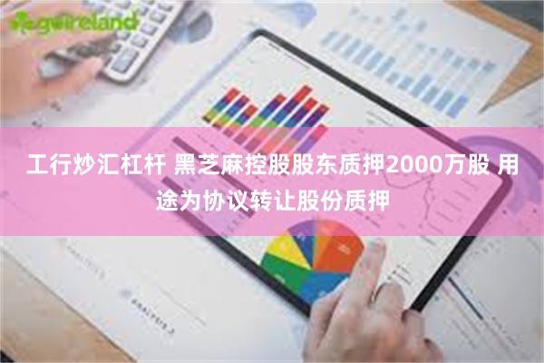 工行炒汇杠杆 黑芝麻控股股东质押2000万股 用途为协议转让股份质押