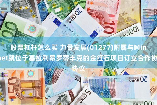 股票杠杆怎么买 力量发展(01277)附属与Minenet就位于塞拉利昂罗蒂丰克的金红石项目订立合作协议